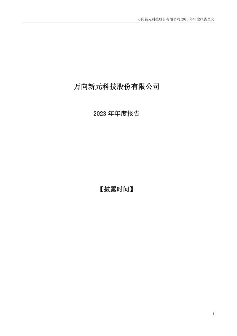 *ST新元:2023年年度报告(更正后)