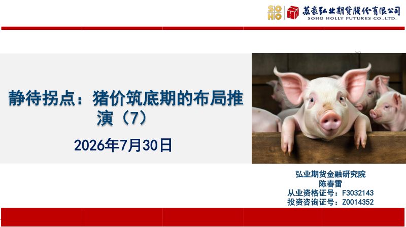 静待拐点：猪价筑底期的布局推演（7）