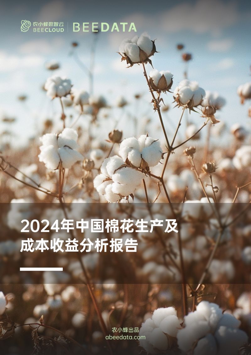 农小蜂-2024年中国棉花生产及成本收益分析报告