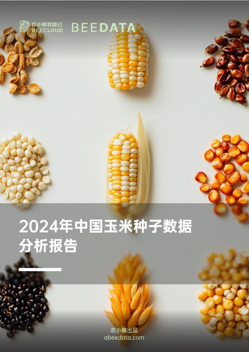 农小蜂-2024年中国玉米种子数据分析报告