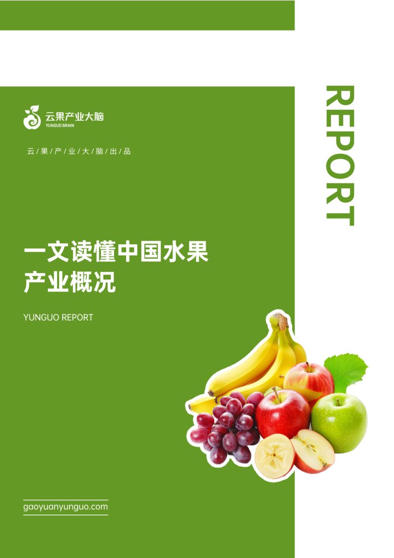云果-一文读懂中国水果产业概况