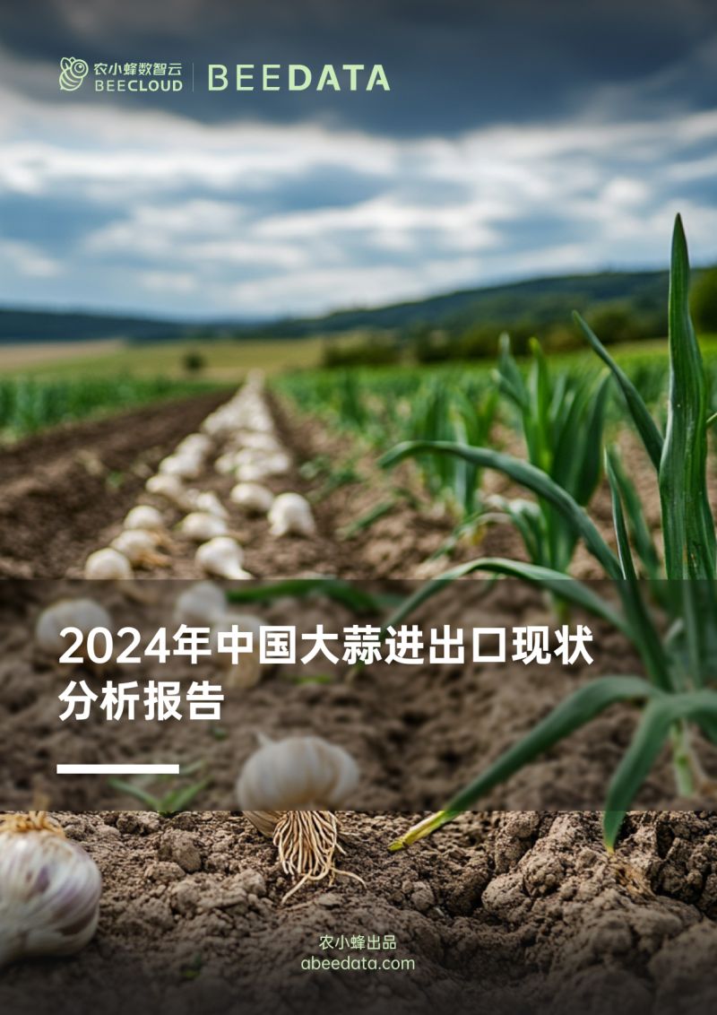 农小蜂-2024年中国大蒜进出口现状分析报告