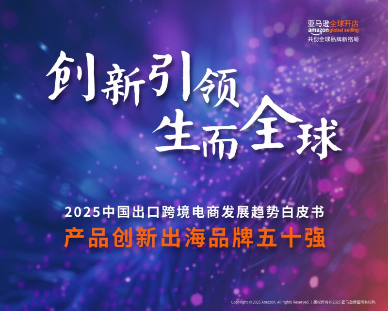 亚马逊全球开店：2025中国出口跨境电商白皮书-产品创新出海品牌五十强（15页）