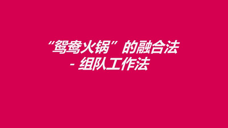 鸳鸯火锅融合的组队工作法-MetaOrg