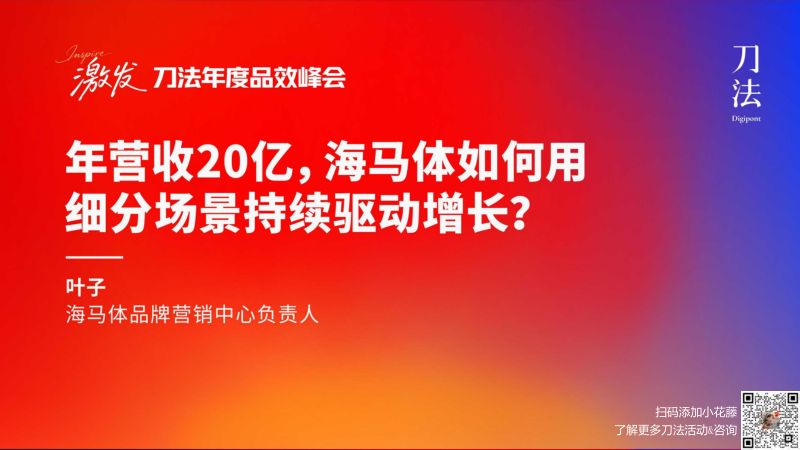 刀法峰会-海马体-叶子-年营收20亿海马体如何用细分场景持续驱动增长