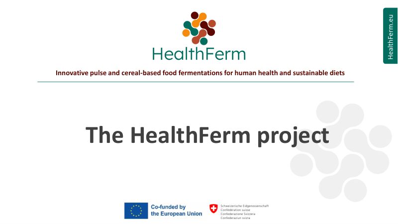 HealthFerm创新的豆类和谷物基食品发酵促进人类健康与可持续饮食KristofBrijs鲁汶大学