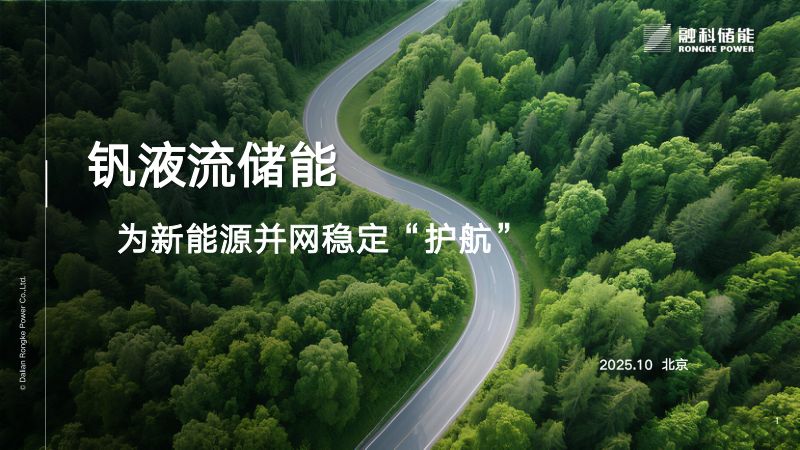 CWP2025-钒液流储能为新能源并网稳定护航1