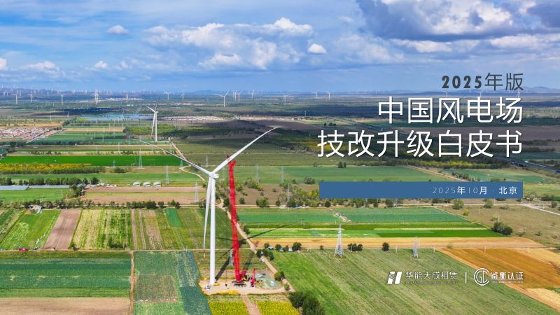 CWP2025-1-3华能天成租赁-中国风电场技改升级白皮书2025