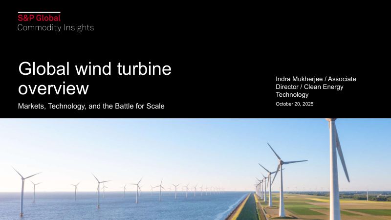 CWP2025-GlobalwindturbineoverviewSPGI-CIFinal标普