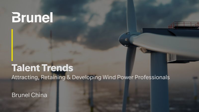 CWP2025-Brunel-ChinaWindPower2025-TalentTreandspresentation布鲁奈尔