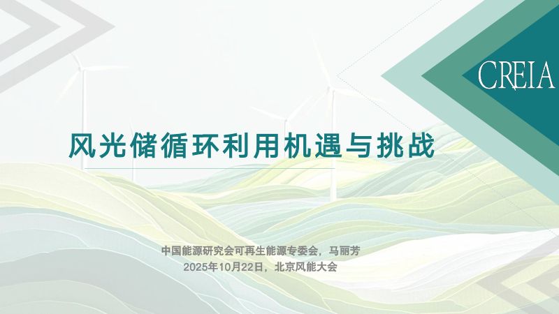 CWP2025-风光储循环利用机遇与挑战1