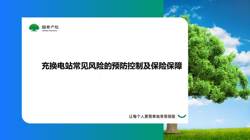 CWP2025-3-3国泰产险-充换电站常见风险的预防控制及保险保障