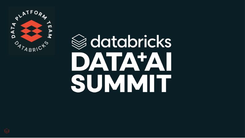 在我们自己的湖边小屋游泳Databricks如何使用Databricks