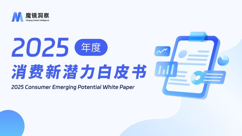 魔镜洞察2025年消费新潜力白皮书99页
