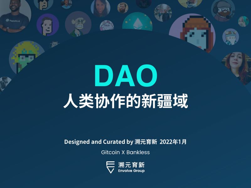 溯元育新DAO人类协作的新疆域199页