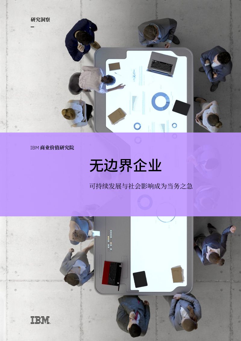 IBM无边界企业可持续发展与社会影响成为当务之急20页