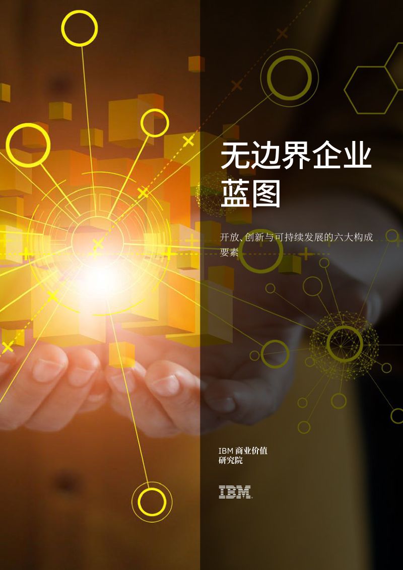 IBM无边界企业成为新一代组织和运营模式109页