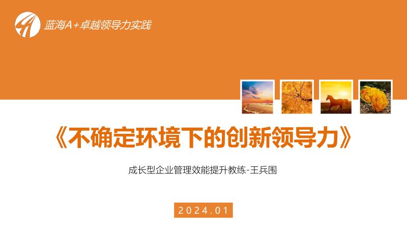 王兵围不确定环境下的创新领导力