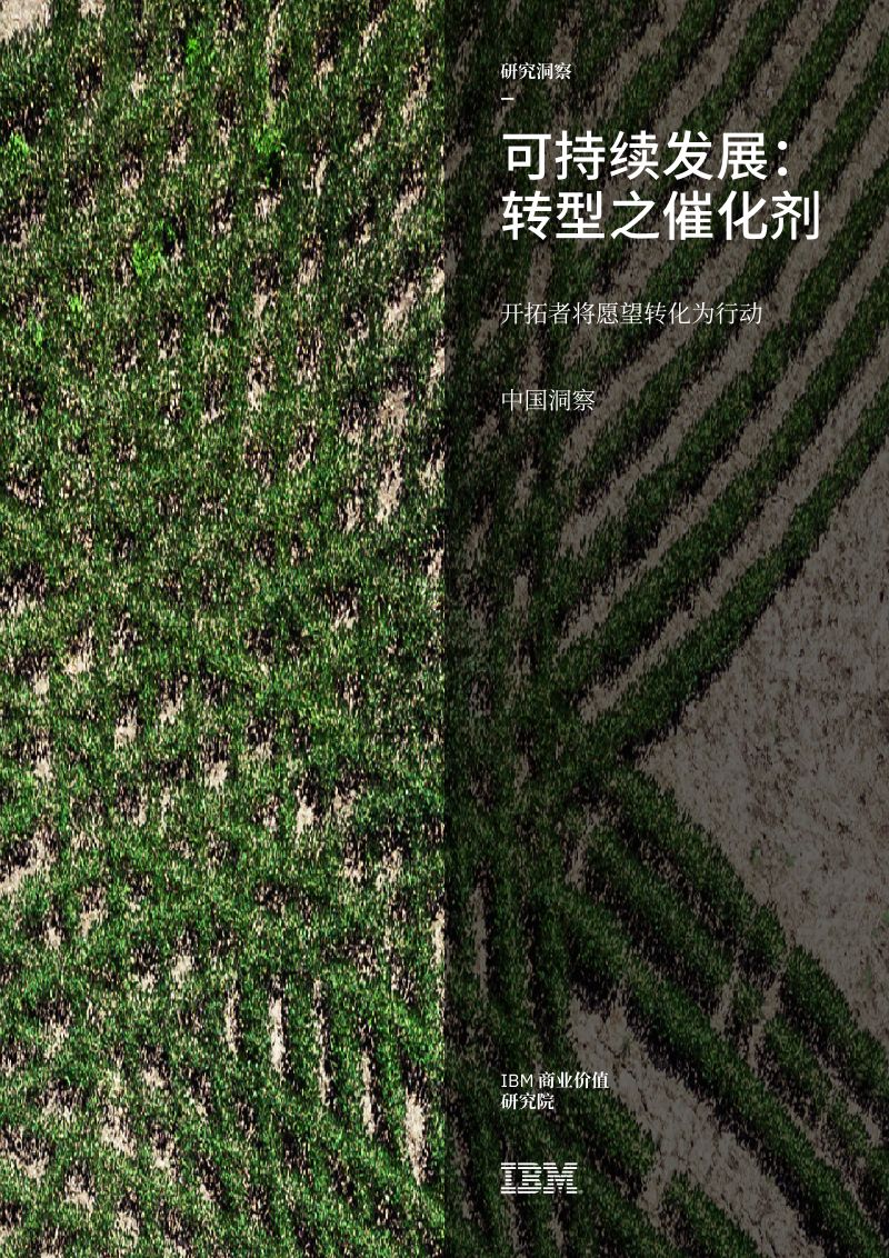 IBM可持续发展-转型之催化剂开拓者将愿望转化为行动26页