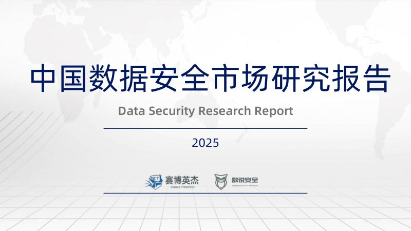 数说安全：2025中国数据安全市场研究报告（96页）