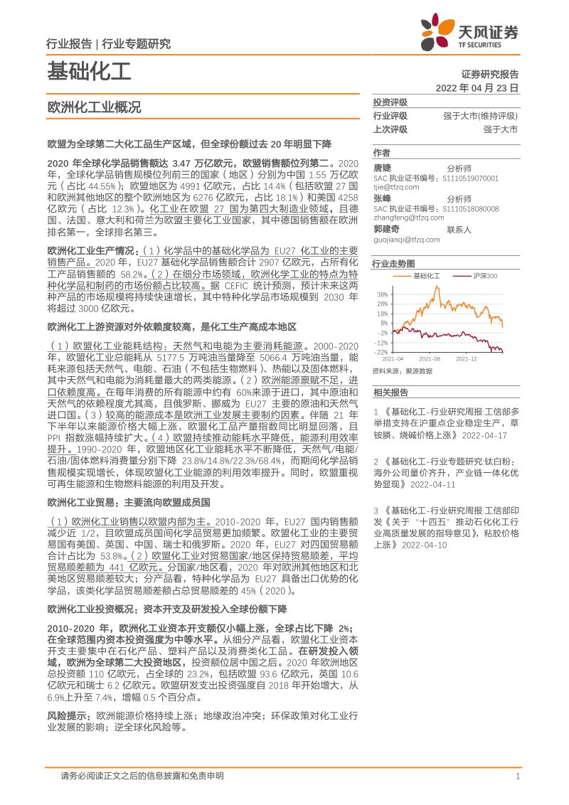 基础化工行业专题研究欧洲化工业概况-22042326页