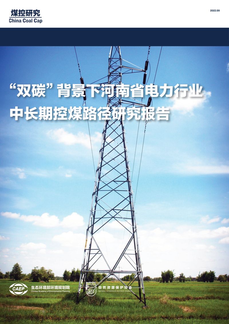 55-【NRDC】“双碳”背景下河南省电力行业中长期控煤路径研究报告