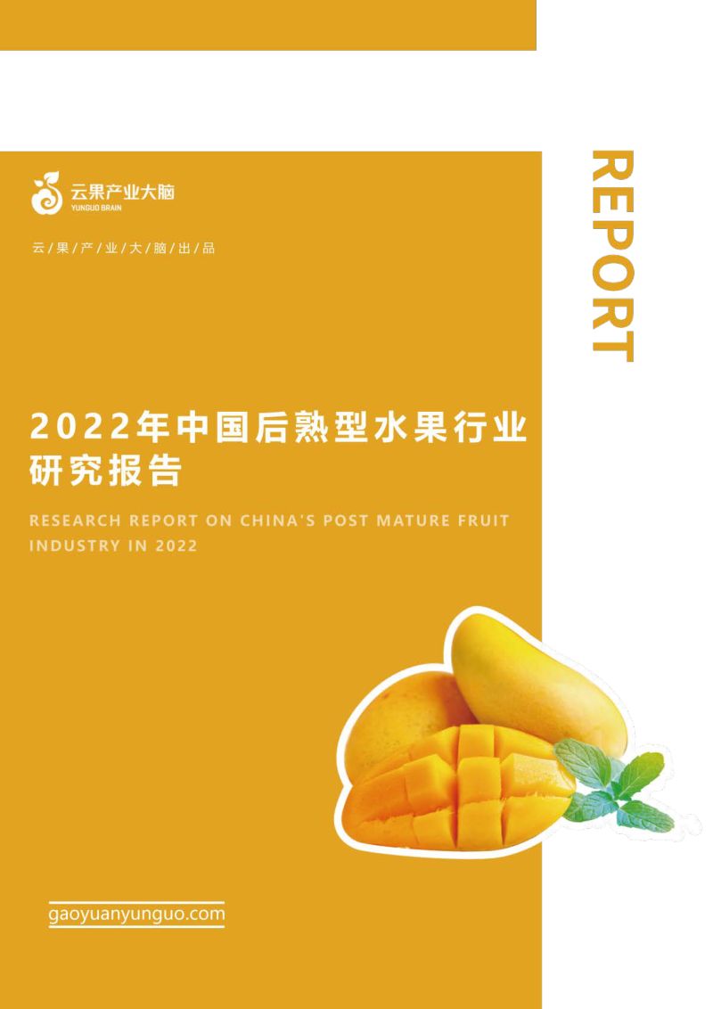 9-【云果】2022年中国后熟型水果行业研究报告