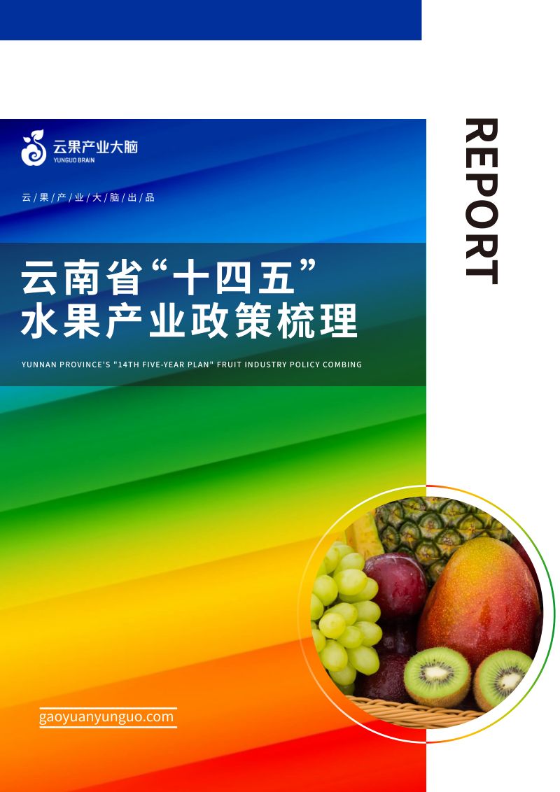 11-【云果】云南省“十四五”水果产业政策梳理