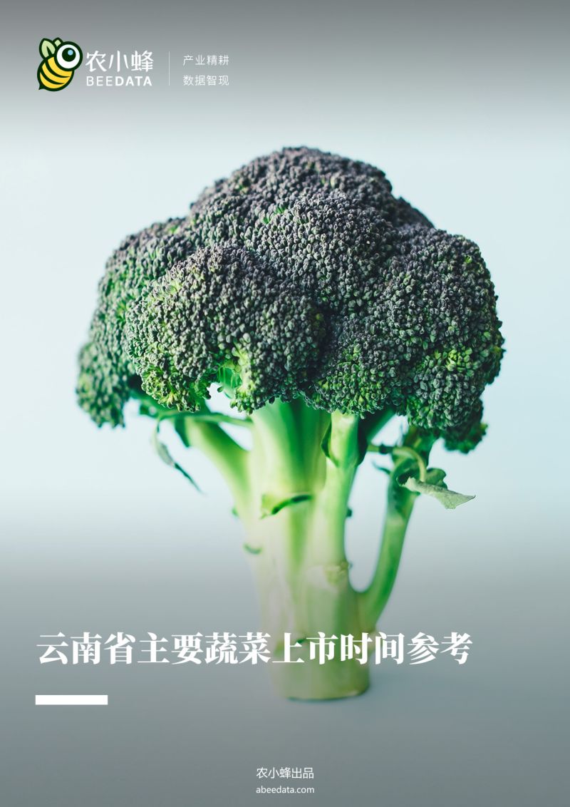 22-【农小蜂】云南省主要蔬菜上市时间参考