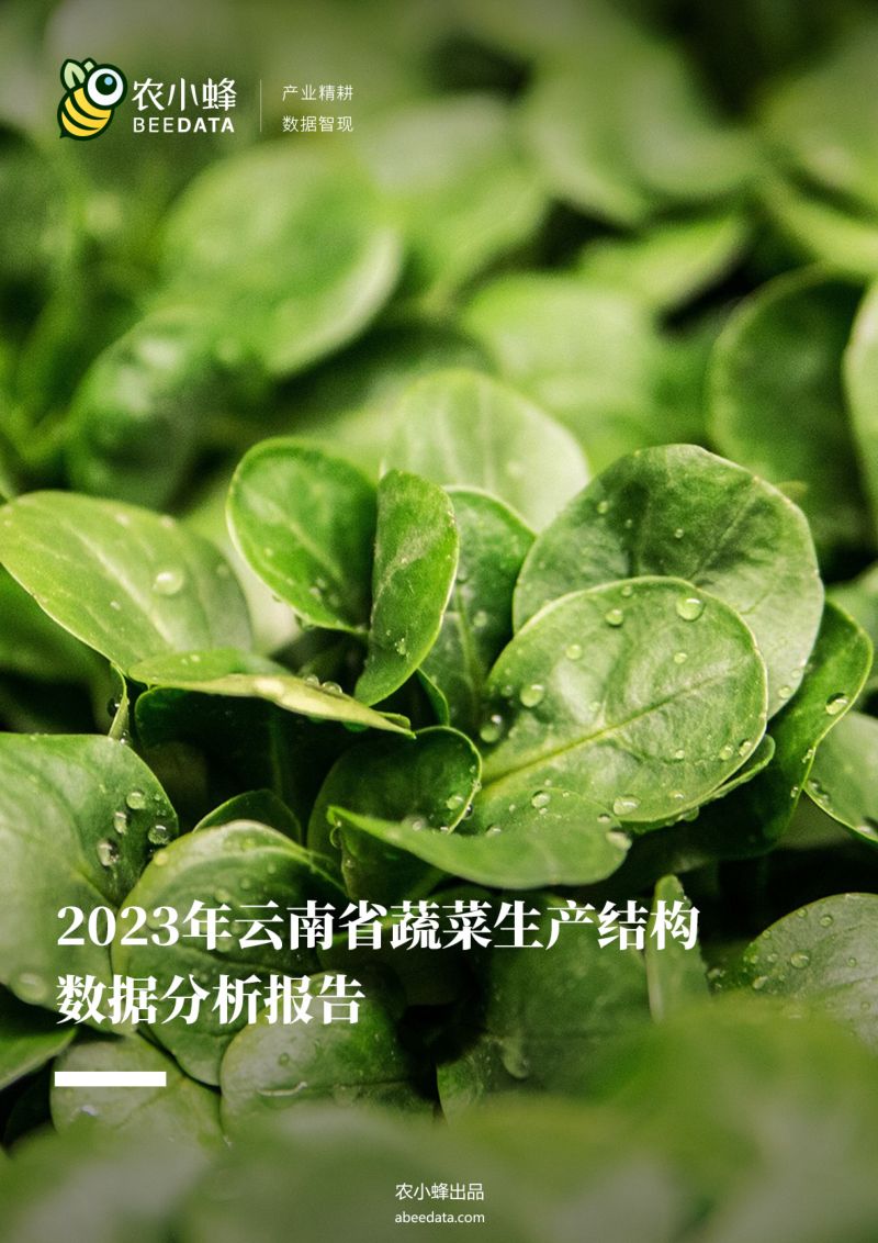 13-【农小蜂】2023年云南省蔬菜生产结构数据分析报告