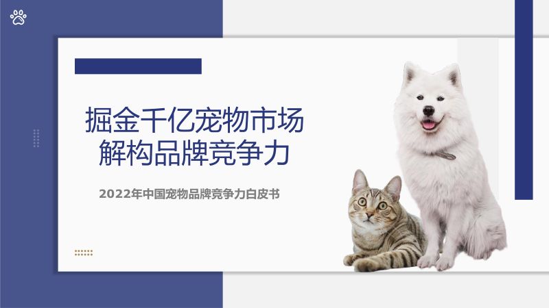 45-【云思】2022年中国宠物品牌竞争力白皮书