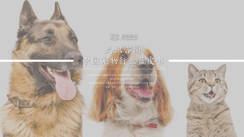 38-【亚宠研究院】宠物行业蓝皮书
