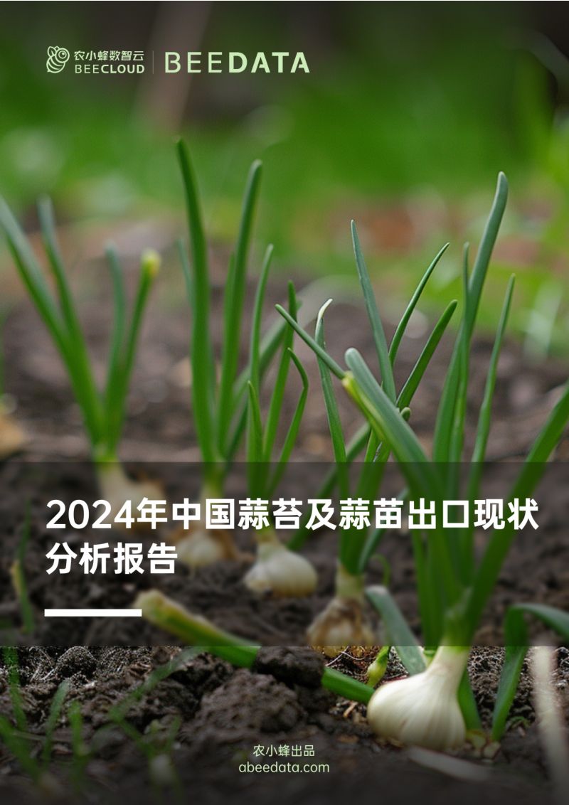 【农小蜂】2024年中国蒜苔及蒜苗出口现状分析报告