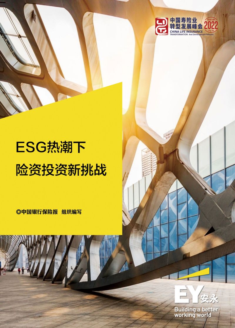 45-【安永】ESG热潮下险资投资新挑战