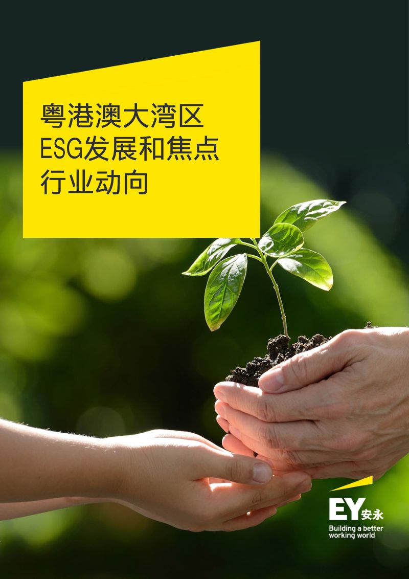 36-【安永】粤港澳大湾区ESG发展和焦点行业动向（中）
