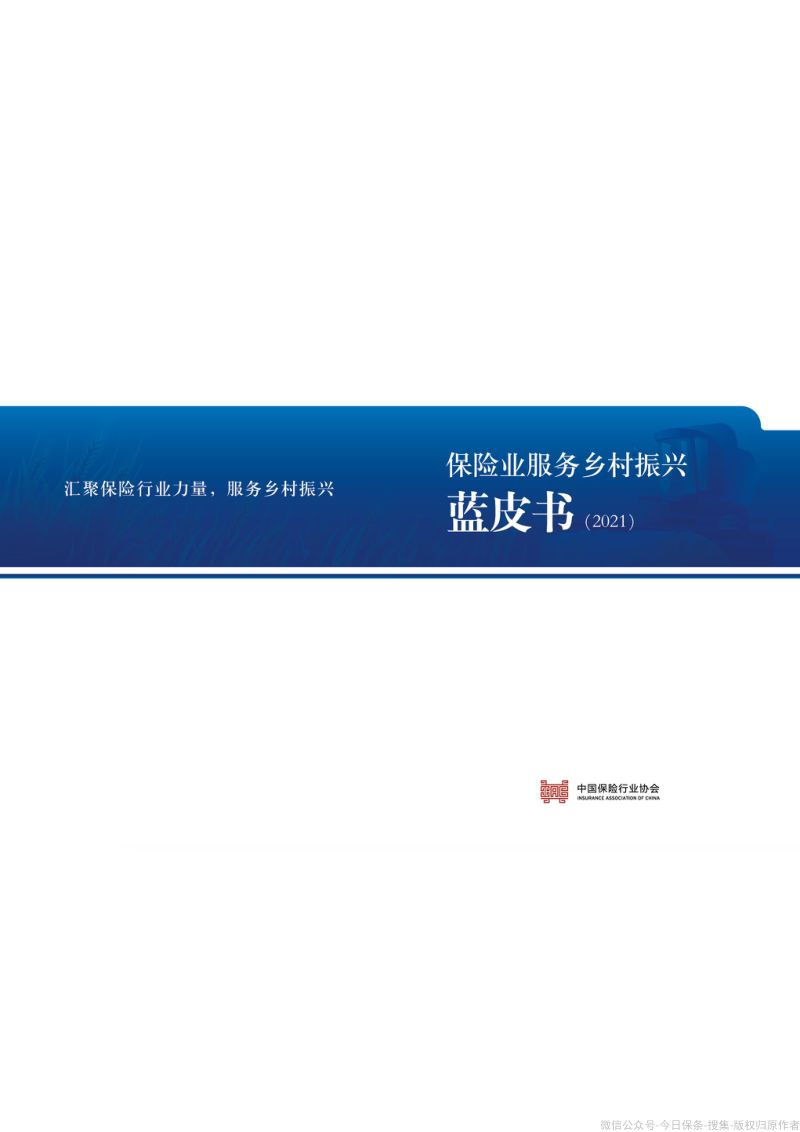 35-【中国保险行业协会】保险业服务乡村振兴蓝皮书（2021）
