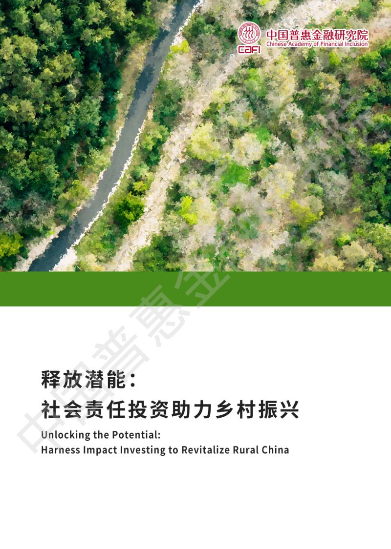 49-【中国普惠金融研究院】释放潜能：社会责任投资助力乡村振兴