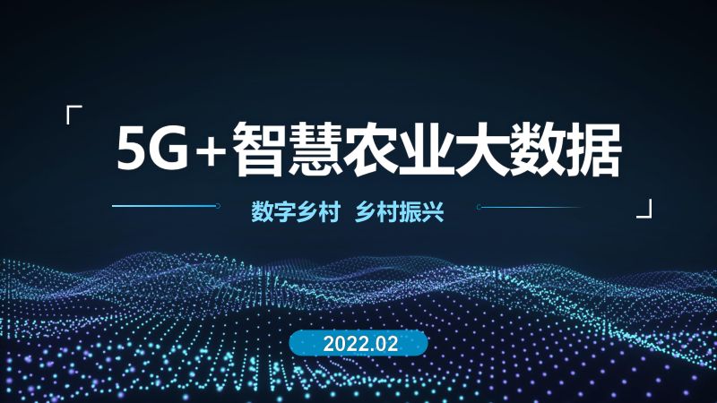 13-【设计方案】5G+智慧农业大数据数字乡村整体建设方案【乡村振兴】【数字乡村建设】