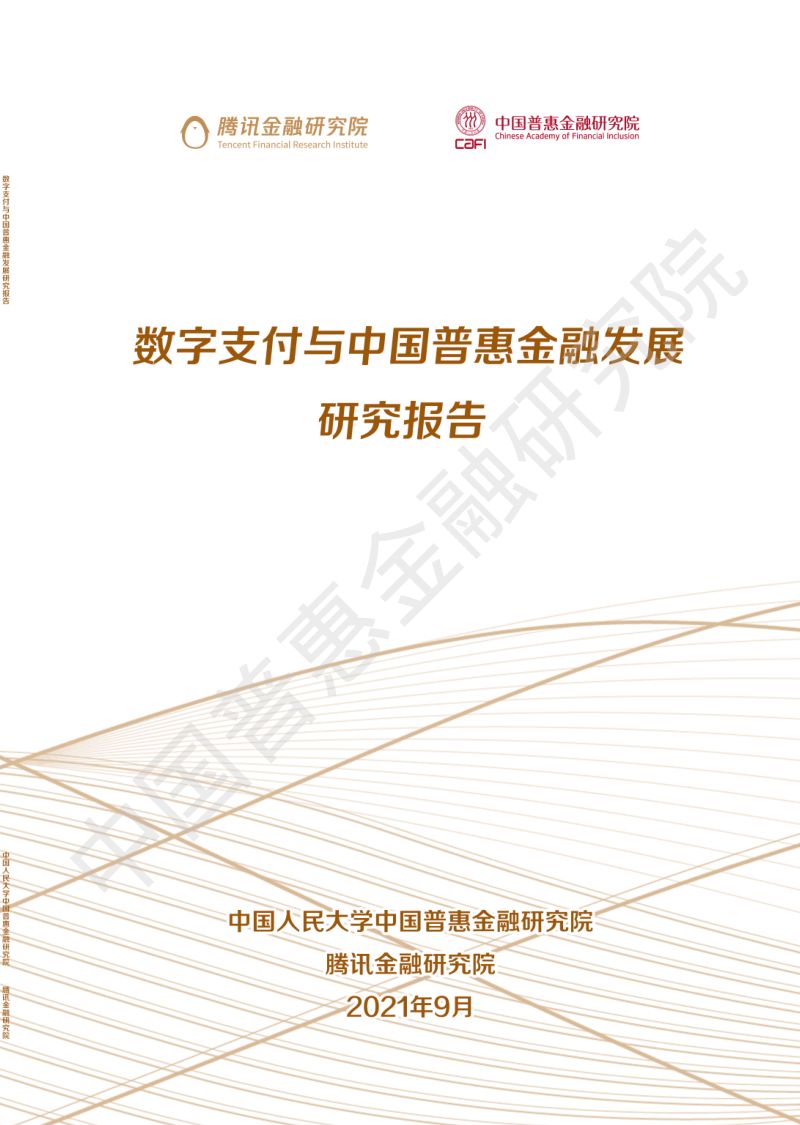 【中国普惠金融研究院】数字支付与中国普惠金融发展研究报告