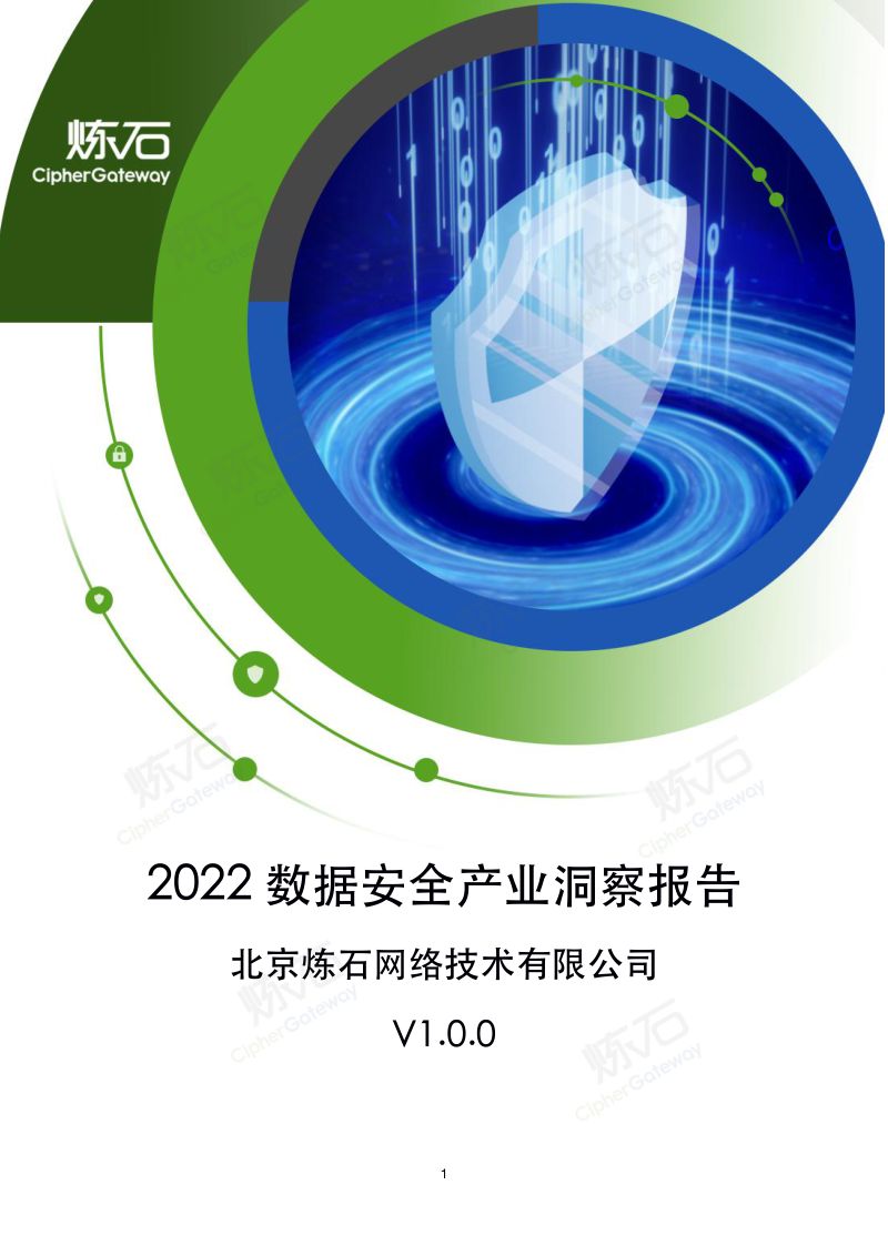 63-【炼石网络】2022数据安全产业洞察报告
