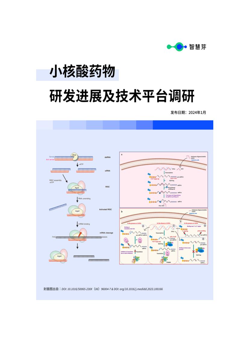 【智慧芽】2024小核酸药物研发进展及技术平台调研报告