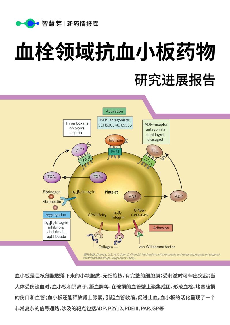 【智慧芽】血栓领域抗血小板药物研究进展报告
