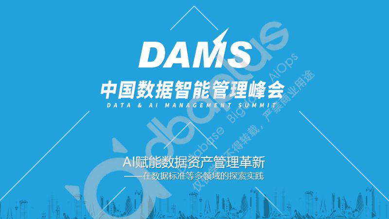 [DAMS]AI赋能数据资产管理革新：在数据标准等多领域的探索实践