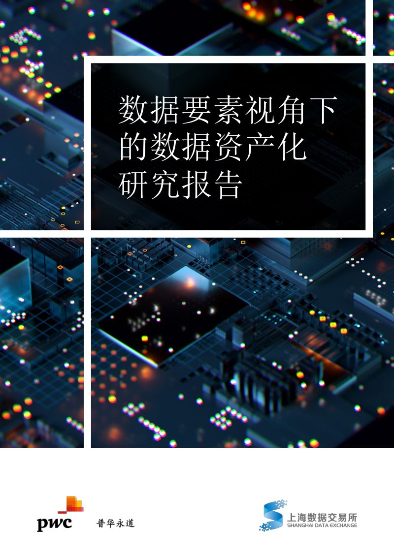 普华永道&上海数据交易所:数据要素视角下的数据资产化研究(2022年)