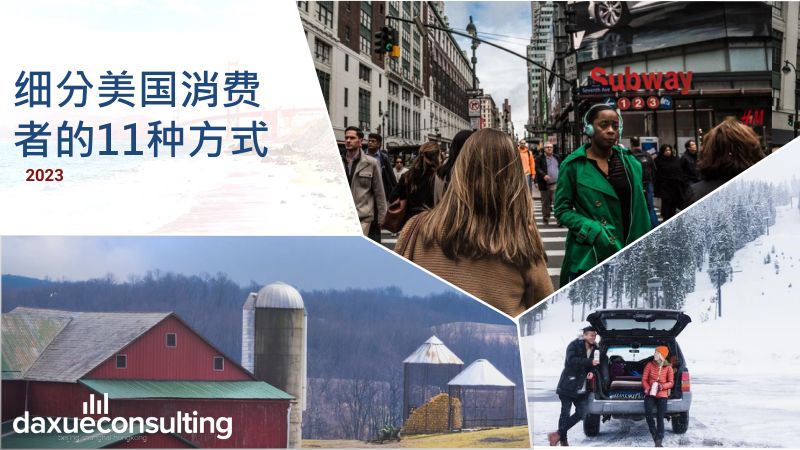 【Daxue Consulting】细分美国消费者的11种方式（中文版）