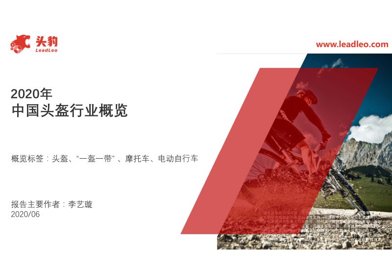 【头豹研究院】中国头盔行业概览