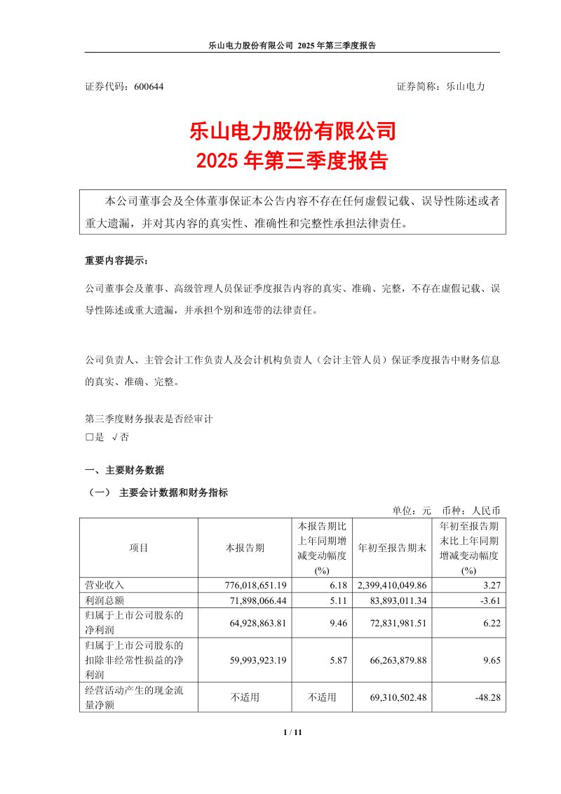 乐山电力：2025年第三季度报告