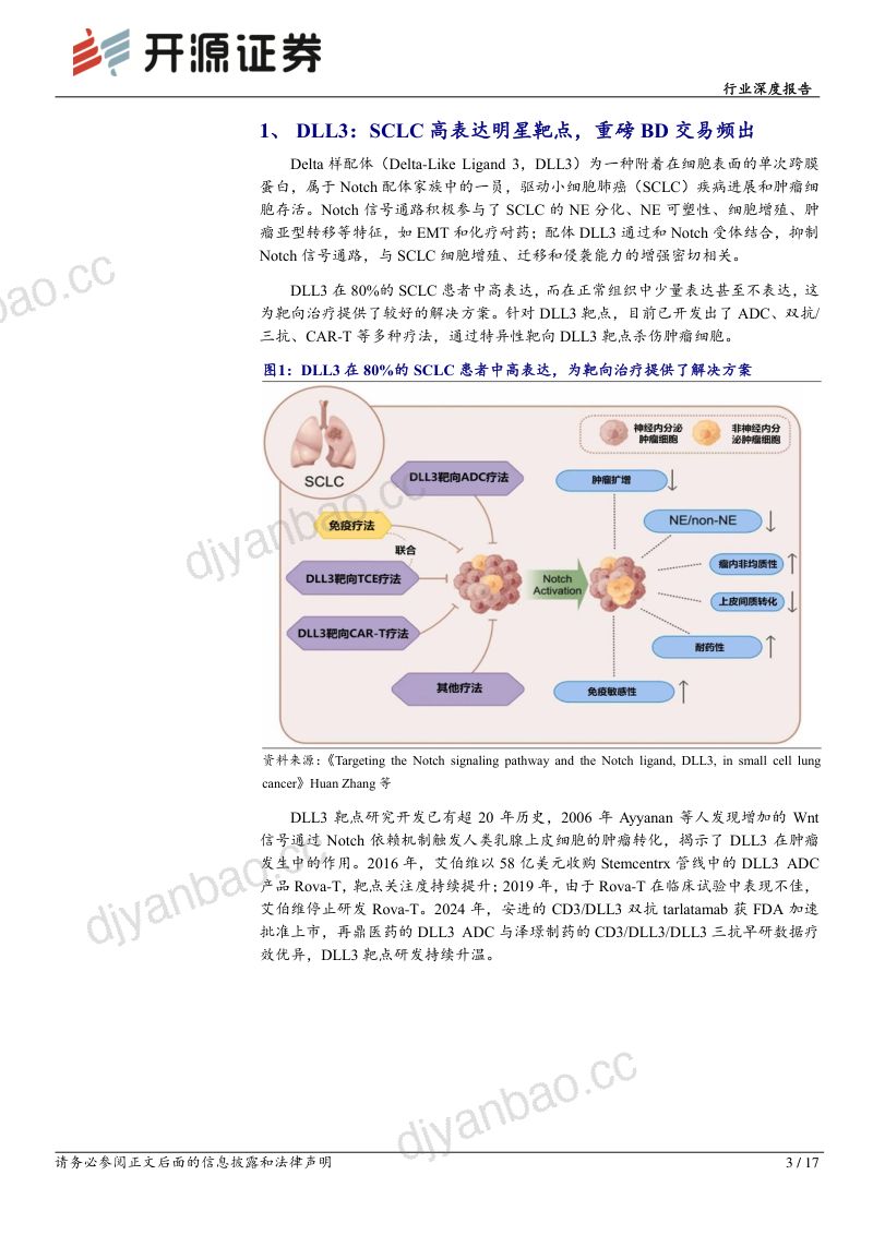 生物制品行业深度报告：DLL3SCLC高表达明星靶点多款国产新药未来可期-241230（17页） 第3页