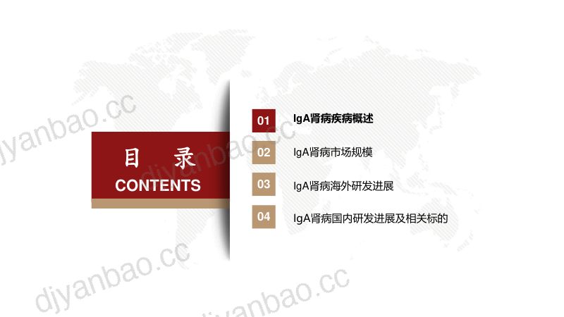 IgA肾病行业报告:多项靶点临床试验进展积极IgA肾病新药步入收获期-241223(53页) 第2页