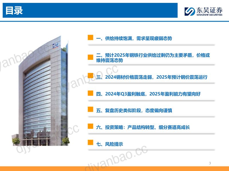 2025年钢铁行业年度策略:供需结构持续优化盈利有望触底回暖-241218(37页) 第3页